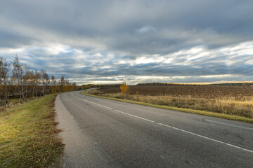 A road with a tree on the side and a cloudy sky