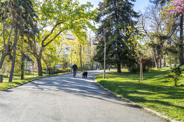 Man and his dog are walking down a path in a park