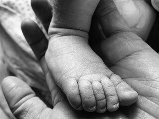 Baby foot in mother's hand