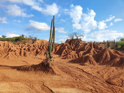 Desierto de la Tatacoa - Kolumbien