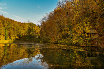 Arlesheim, Ermitage, Weiher, Seerose, See, Holzsteg, Baselland, Waldweg, Wanderweg, Spazierweg, Ausflugsort, Kraftort, Karpfen, Karpfenweiher, Herbst, Herbstfarben, Herbstlaub, Schweiz 