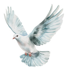 Obraz premium PNG A white dove in mid-flight with outstretched wings