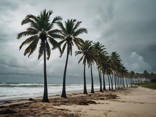 Fototapeta premium Palm Trees on a Beach Under an Overcast Sky