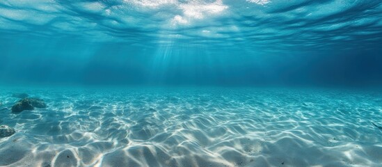 Sunlight Beams Through Clear Ocean Water