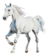 PNG Majestic white horse running on a sunny day