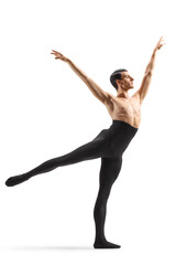 Fototapeta premium Male ballet dancer performing a choreography
