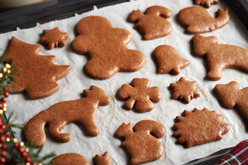 Freshly baked gingerbread Christmas cookies brushed with egg for shine