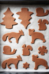 Animal shapes cut out from raw pastry dough on parchment paper before baking  - preparation of gingerbread Christmas cookies
