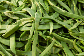 Abundance of raw green beans. Young, unripe pods of bean.