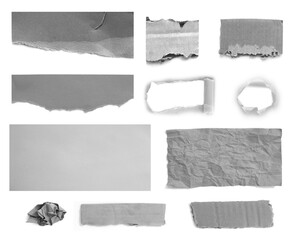 ripped paper on white background.