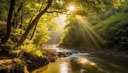 Obraz premium Golden Sunlight Filtering Through the Leaves of a Dense Forest, Illuminating a Peaceful River Winding Through a Valley, Captured for a Serene Nature Landscape Scene