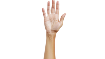 Beautifully female hand holding something on white transparent background

