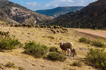 Andean landscape in the stone forest of Pampachiri in Andahuaylas, Peru.