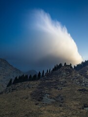 fog and clouds shrouding the mountains with pines gracefully crowning the summit