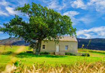 Obraz premium Front view of farmhouse with a tree from the wheat farm in Caledon, Overberg, Western Cape, South Africa