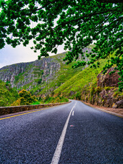 Vertical view of winding road in the Langeberg Mountains from under a tree, Suurbraak, Overberg, Western Cape, South Africa
