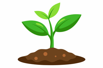 Newborn plant with soil isolated on white backgrou vector illustration