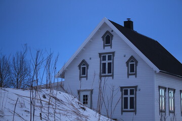 Winter landscapes in Norway showcase serene snowy mountains, icy fjords, and peaceful coastal views. Capturing the beauty of snow-covered trees, quiet roads, and glowing sunsets creates a sense of cal