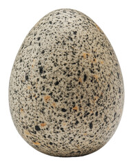 PNG Speckled egg on plain background