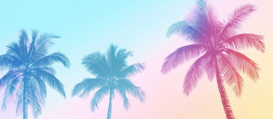 Obraz premium Silhouette of palm trees against a vibrant summer gradient on a light blue backdrop embodying a tropical vacation and travel theme
