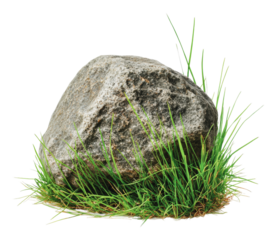 PNG Large rock nestled among vibrant green grass