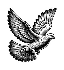 pigeon bird fly engraving black and white outline