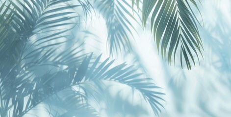 Natural Palm Leaf Shadows on White Wall - Summer Vibes