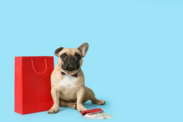 Cute french bulldog sitting near shopping bag and wallet with money on blue background