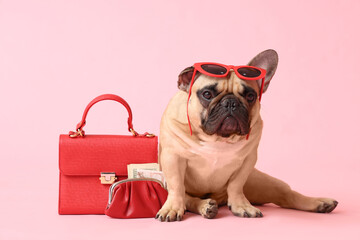 Cute French bulldog with sunglasses sitting near red bag and wallet on pink background