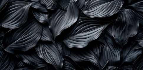 Abstract Black Leaves Texture Dark Nature Background Gothic Dark Tropical Leaf Wallpaper High Definition Photography