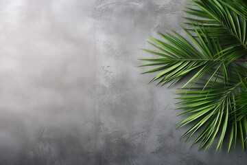 Naklejka premium Palm leaves on concrete background