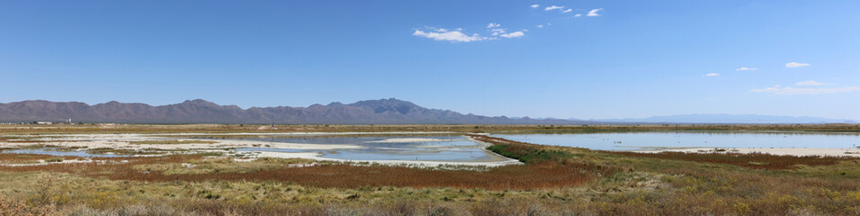 Ponds and mountain landscape in Willcox Arizona