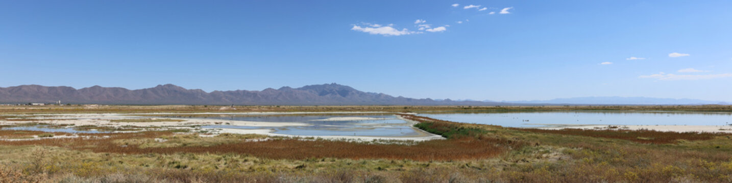 Ponds and mountain landscape in Willcox Arizona