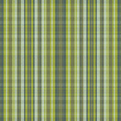 Tartan plaid pattern with texture.