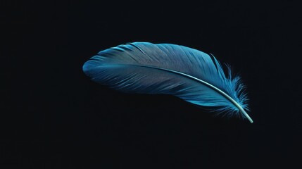 A blue feather on a black background, highlighting its soft texture and delicate shape in a minimalist, artistic and nature-inspired composition.