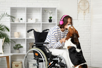 Young pretty woman in wheelchair with headphones playing with adorable Beagle dog at home