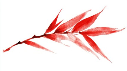 Elegant red leaf on a white isolated background.