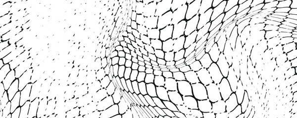Black snake skin pattern isolated on white background eps 10