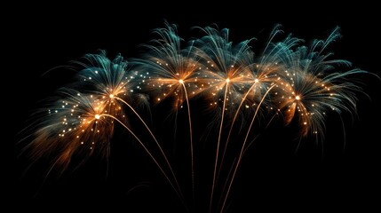 Colorful fireworks display illuminating the night sky