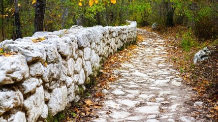Scenic Pathway Surrounded by Autumn Foliage and Natural Stone Wall in a Tranquil Forest Setting, Ideal for Nature Lovers and Outdoor Enthusiasts