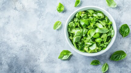 Obraz premium Fresh Green Basil Leaves in a White Bowl on a Rustic Surface, Perfect for Culinary Creations, Healthy Recipes, and Natural Ingredients Showcasing Freshness and Vibrancy