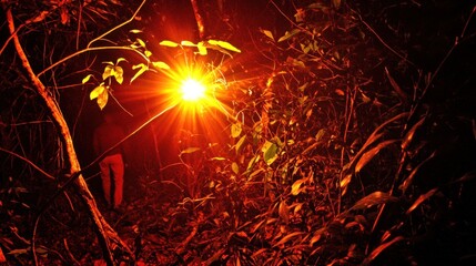 A person walks through a dark forest at night, illuminated by a bright flashlight.