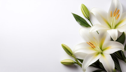 Fototapeta premium Fresh Lily flower garland foliage on side position provides copy space for text. background concept isolated white