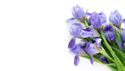 Fresh Iris flower garland foliage on side position provides copy space for text. background concept isolated white