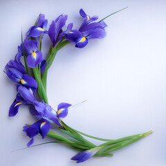 Fresh Iris flower garland foliage on side position provides copy space for text. background concept isolated white