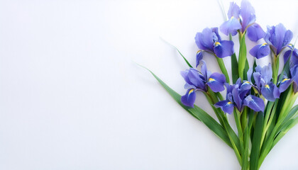 Fresh Iris flower garland foliage on side position provides copy space for text. background concept isolated white
