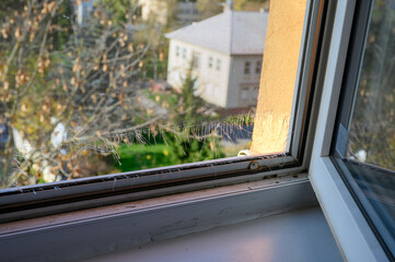 Torn window insect screen – big hole