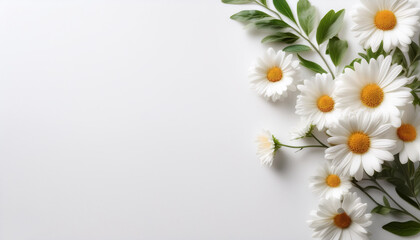 Fresh Daisy flower garland foliage on side position provides copy space for text. background concept isolated white