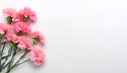 Fresh Carnation flower garland foliage on side position provides copy space for text. background concept isolated white