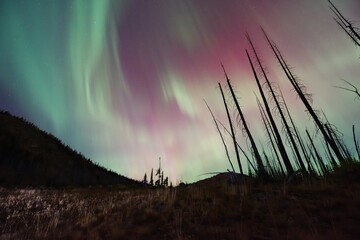 Aurora Night at Meadows Campground